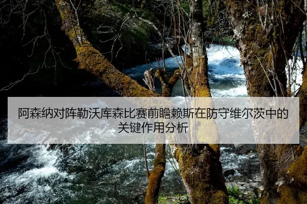 阿森纳对阵勒沃库森比赛前瞻赖斯在防守维尔茨中的关键作用分析