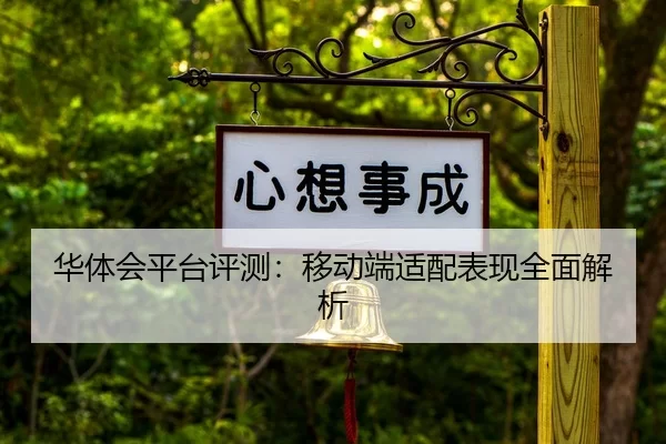 华体会平台评测：移动端适配表现全面解析