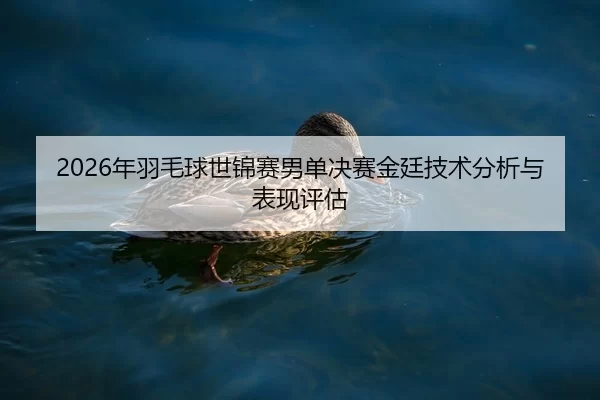 2026年羽毛球世锦赛男单决赛金廷技术分析与表现评估