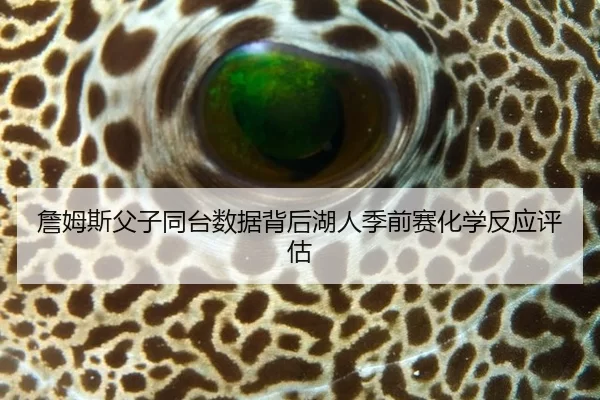 詹姆斯父子同台数据背后湖人季前赛化学反应评估
