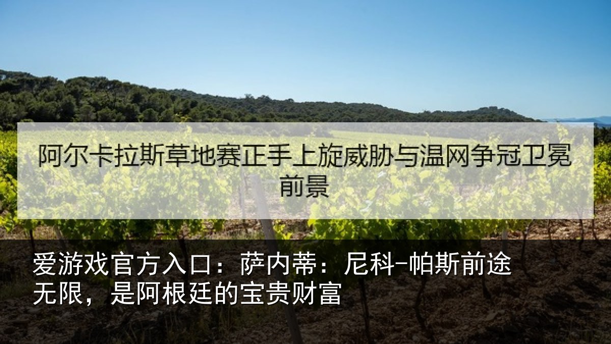 爱游戏官方入口：萨内蒂：尼科相关情况根廷的宝贵财富