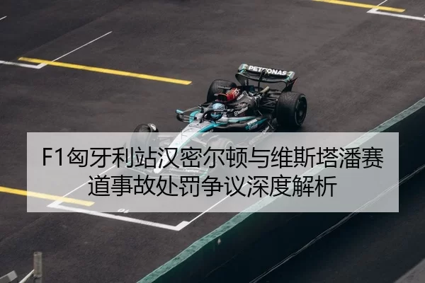 xiong-ya-li-zhan-han-mi-er-dun-yu-wei-si-ta-pan-sai-dao-shi-gu-chu-fa-zheng-yi-shen-du-jie-xi-3-342.jpg
