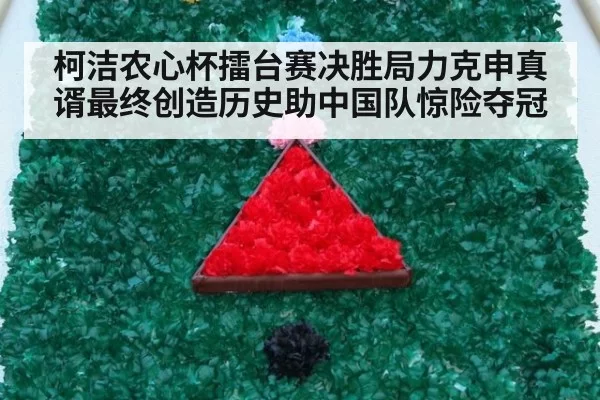 柯洁农心杯擂台赛决胜局力克申真谞最终创造历史助中国队惊险夺冠